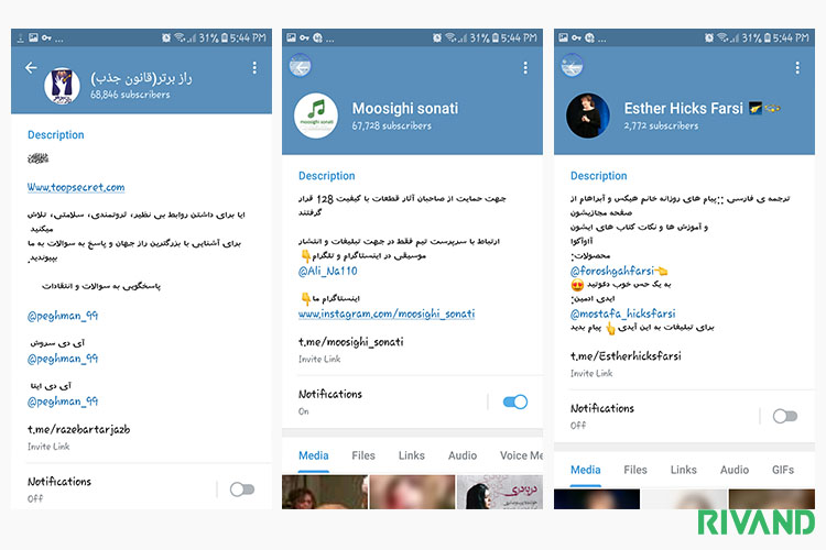 گروه بازاریابی در تلگرام ریوند